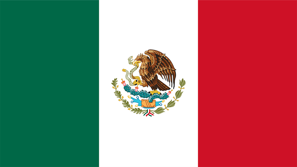 Mexico City flag