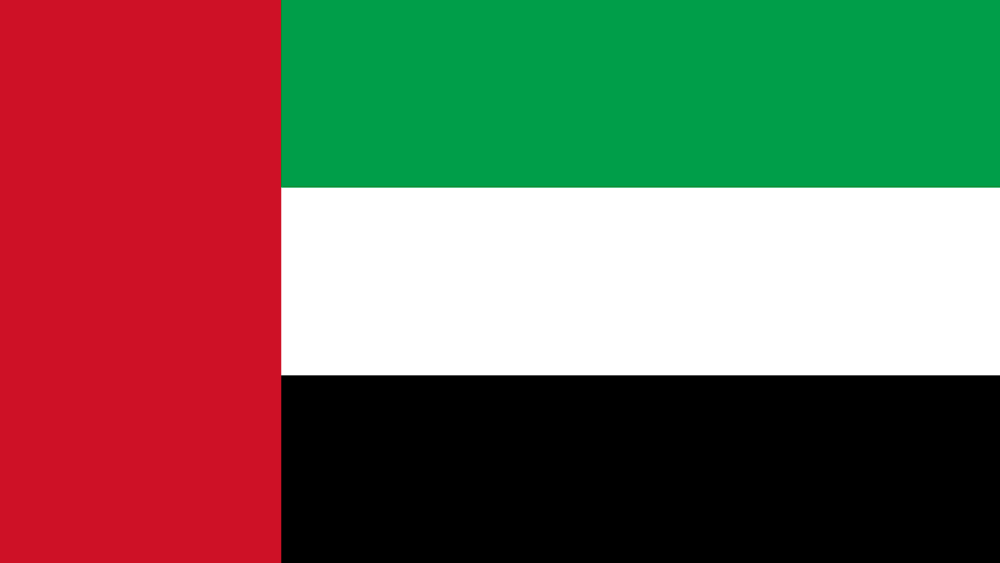 Yas Marina flag
