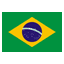 BRAZIL flag