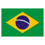 BRAZIL flag