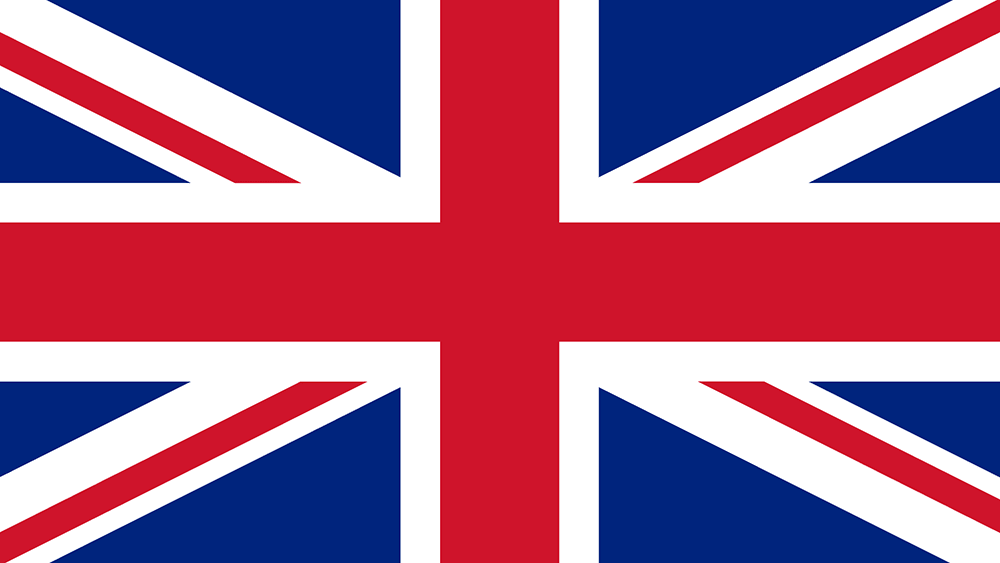 Silverstone flag