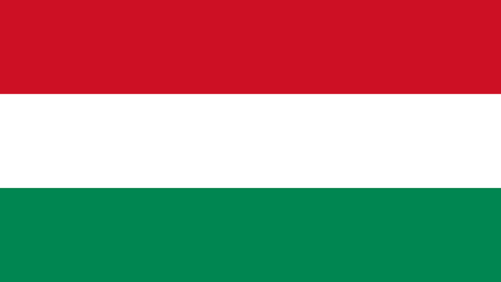 Budapest flag