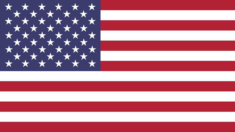 Las Vegas flag
