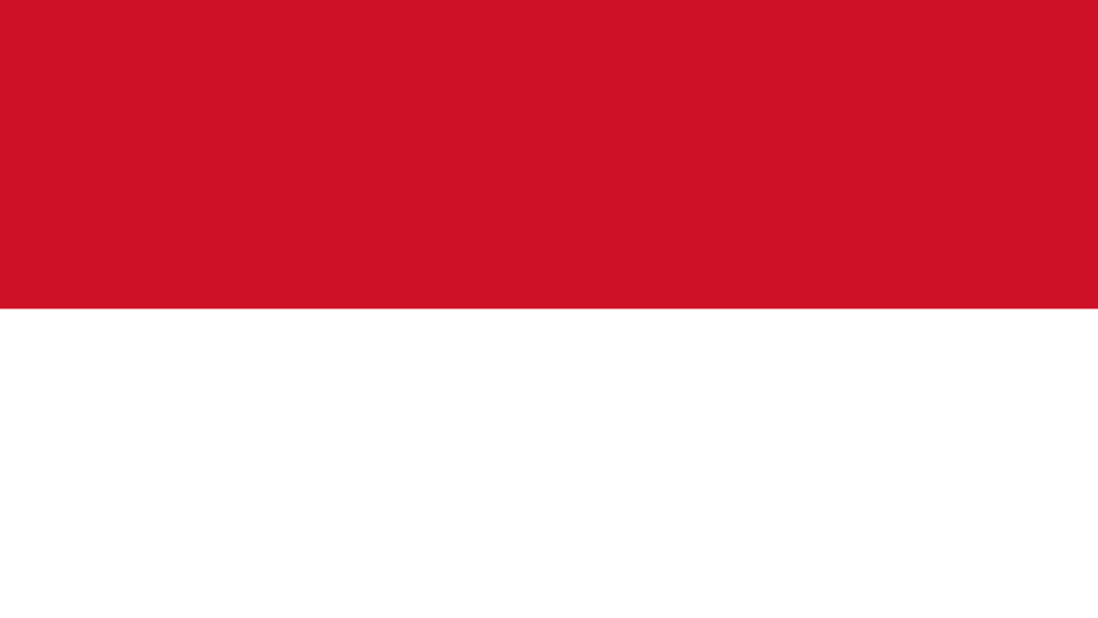 Monte Carlo flag