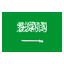 SAUDI ARABIA flag