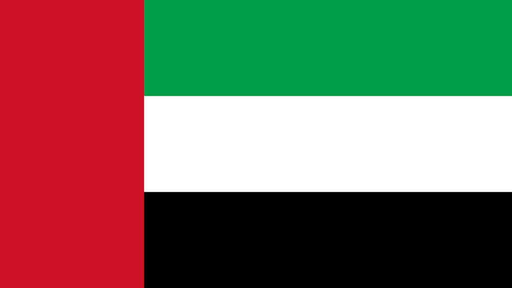 Yas Marina flag